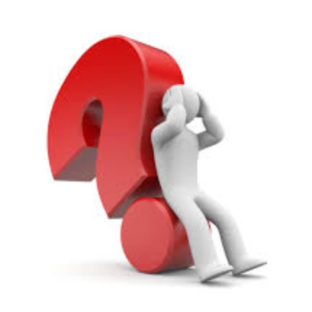 WHY DO PEOPLE MAKE FOOLS OUT OF THEMSELVES????????